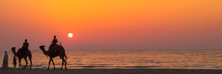 blurry trembling image of sunset over the Persian Gulf, the driver leads the camels and rolls the touristsの写真素材