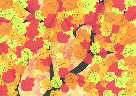 Autumn background with oak leavesのイラスト素材