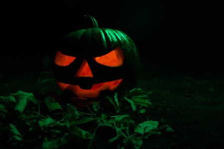 Pumpkin. Jack-o-lantern. The symbol of Halloween.の写真素材
