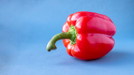 Red bell pepper on blue background. close up. copyspace.の写真素材