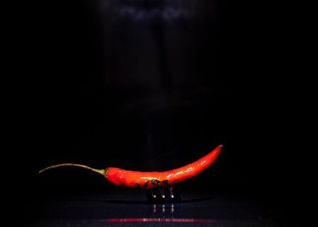 Red hot chili pepper on black background with copy space for text.の写真素材