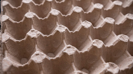 Empty egg carton box for background and texture. close up.の写真素材