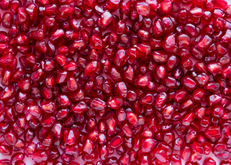 Pomegranate seeds close up. Whole grains of pomegranate.の写真素材
