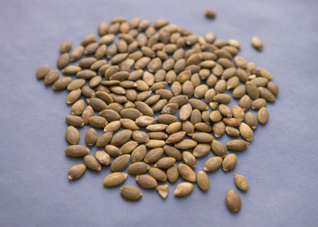 pumpkin seeds on a blue background. tinting. selective focusの写真素材