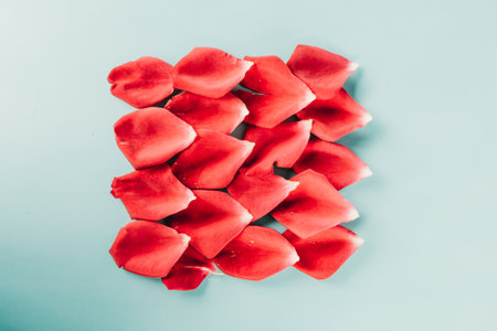 Red rose petals on blue background. Valentine's day concept.の写真素材