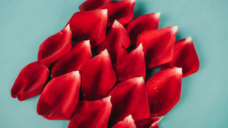 red rose petals on blue background - vintage effect style pictures.の写真素材