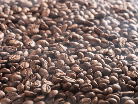 Roasted arabica coffee beans with steam emanating from them after roasting.の写真素材