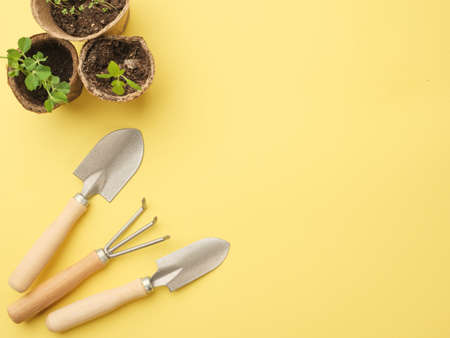A set of gardening tools on a yellow background with a plant in a pot. View from above. Place for your text. Copy space.の写真素材