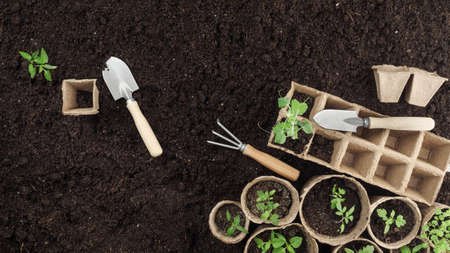 Peat seedlings and garden tools are on the ground. Top view. Copy space.の写真素材