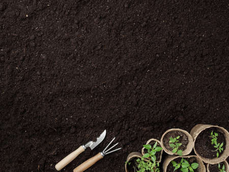 Peat seedlings and garden tools are on the ground. Top view. Copy space.の写真素材