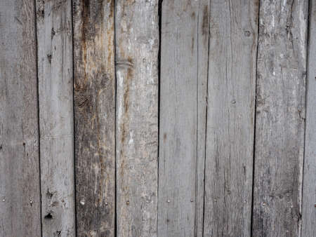 Old gray boards. Texture.の写真素材