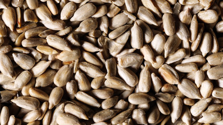 Peeled sunflower seeds. Macrophoto, panorama.