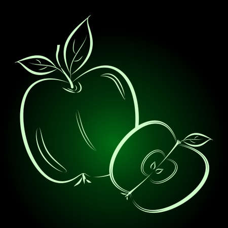 Beautiful silhouette of apples on a white background. Contour drawing. Element for design and decoration. Vector color illustration.のイラスト素材