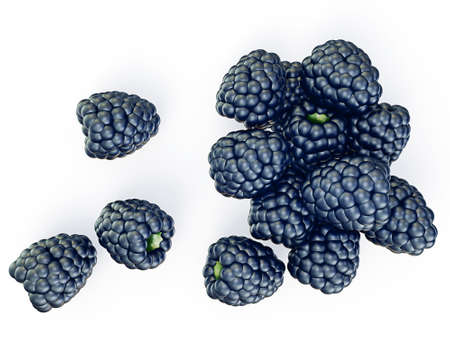 fresh blackberry isolated on a white backgroundの写真素材