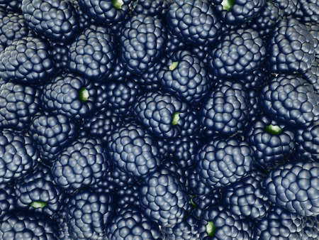 close up fresh blackberryの写真素材