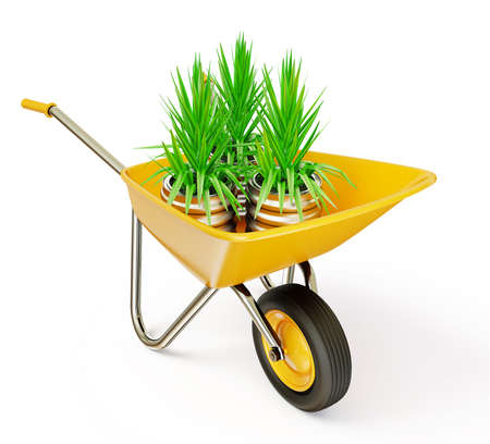 yellow wheelbarrow with plant, isolated on a whiteの写真素材
