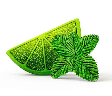 lime and mint isolated on a white backgroundの写真素材