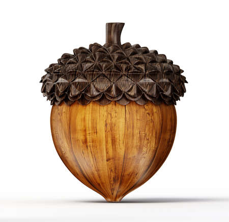 brown acorn isolated on a white backgroundの写真素材