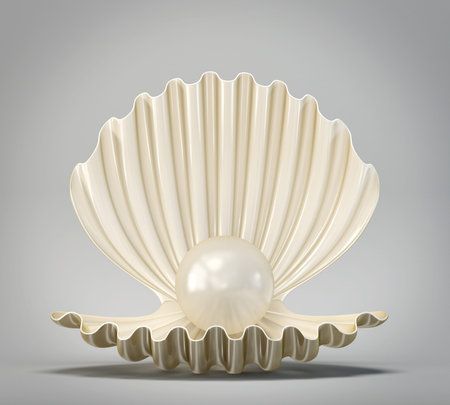 beautyful shell isolated on a grey backgroundの写真素材