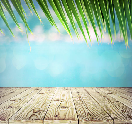 wooden planks table and big palm leafの写真素材