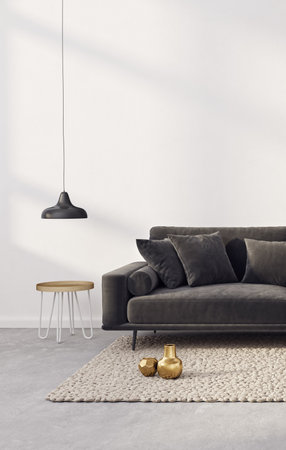 modern living room with black sofa. 3d illustration. Scandinavian interiorの写真素材