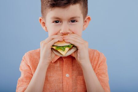 crop, little boy eating a sandwich. looks at the camera,の写真素材