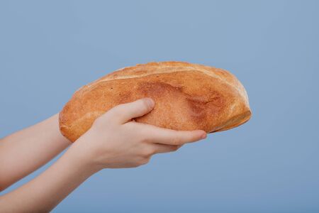 hand child with bread, isolated on blue background,の写真素材