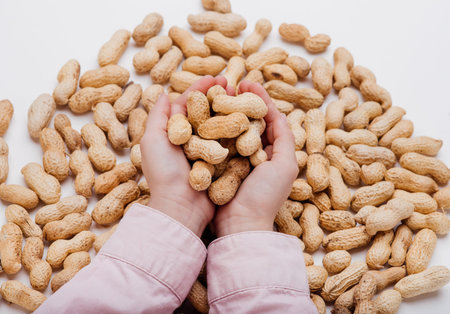 close up, Peanut in the hands of a child isolated on white background