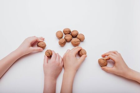 four child hand with many walnuts isolated on white background, close up, top viewの写真素材