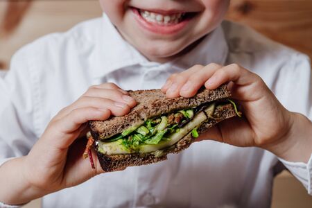 close up, child with vegetarian sandwich with whole grain bread, cucumber, egg whites, radishes and pea shoots on plate.の写真素材