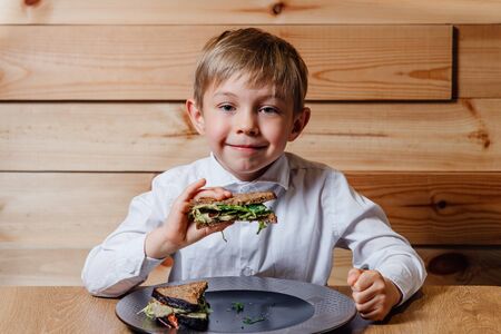 little boy with vegetarian sandwich with whole grain bread, cucumber, egg whites, radishes and pea shoots on plate.の写真素材