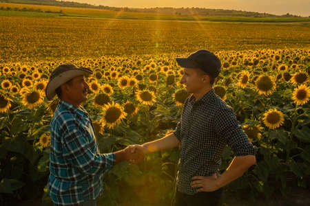 Two male farmers shake hands. Against the background of a sunflower field, Deal in agribusiness concept sunflower field. focus on the backgroundの写真素材