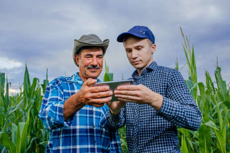 Farmers and Technology, farmers in corn field using digital tablet,の写真素材