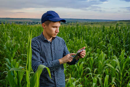 young farmer using a tablet PC, front view on modern farmer with digital tablet, Farmers and Technology, farmer in corn field using digital tablet,の写真素材