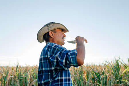 side view of a senior farmer with a bottle of water in his hand, in the corn field, taking a break after workの写真素材
