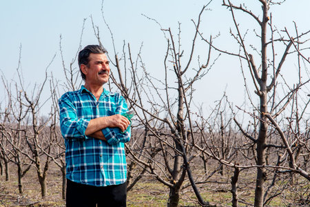 Farming concept, Farmer with pruning scissors in springtime in a plum orchard. Agriculture and nature concept.の写真素材