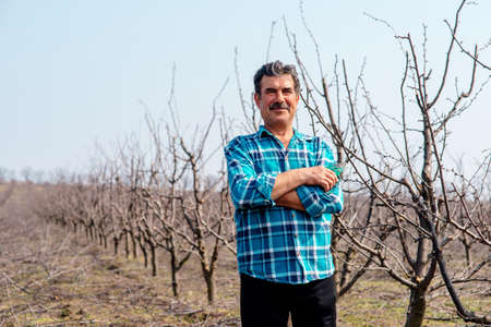 A front view of senior farmer standing in orchard. Senior farmer pruning tree in orchard. with pruning scissors in springtimeの写真素材
