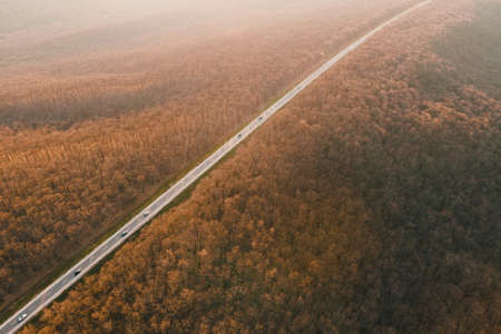 Aerial drone overhead of cars driving down straight road through leafless forest valley at sunset. Highway go through european ecosystem wildlife habitat natural environment concept Scandinavia 4K.の写真素材