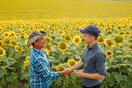 Handshake. Two farmer standing and shaking hands in a sunflower field. Agricultural business.の写真素材