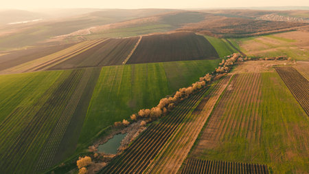 aerial view of wheat fields, agricultural land. the drones flight over agricultural land in the evening at sunset. beautiful view of the cereal fields.の写真素材