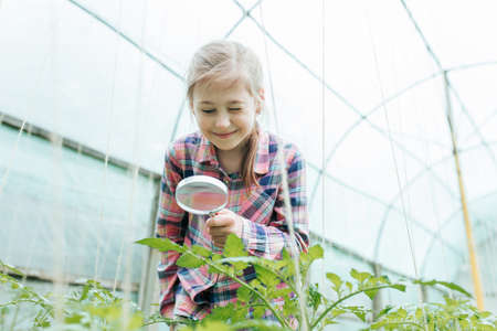 Image of smiling kid with magnifying glass exploring the nature outdoors. Cute caucasian little child girl looking through a magnifying glass the plantの写真素材