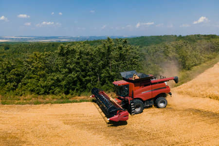 drone flight over Combine harvester harvest ripe wheat on a farm. Aerial view of modern combine harvesting wheat on the field.の写真素材