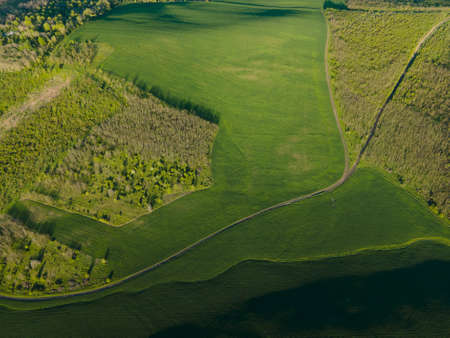 aerial view of the rural landscape with green fields and forests at sunrise. drone flight over agricultural land and green forests. beautiful summer piece.の写真素材