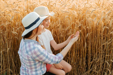 mother and daughter family of farmers touch the ears with their hands, control the quality of the ears. woman and child with hat on head land agricultural land with golden wheat. harvest timeの写真素材