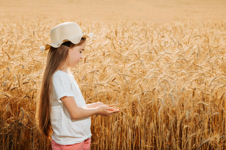 little child farmers daughter with hat on head looks at the ear of wheat, touches the ear of wheat. agricultural land wheat fieldの写真素材