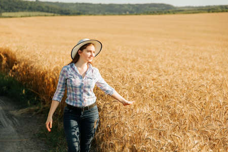 A nice woman farmer inspects crop the field of cereals. Farmer woman works in wheat yellow field in summer. Agricultural business.の写真素材