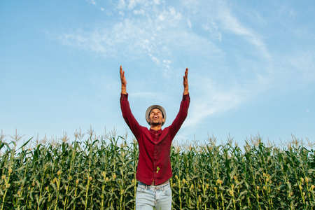 handsome and cheerful farmer with his hands up. African American farmer with hat on head with outstretched hands in corn field, blue sky backgroundの写真素材