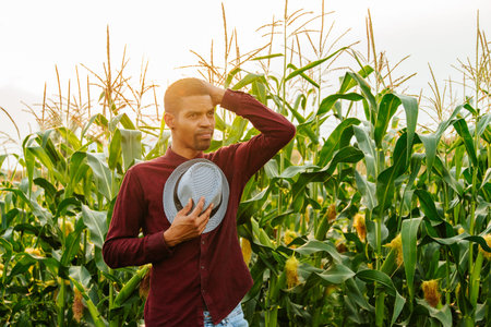 Portrait of confused male afro american farmer scratching his head in corn field. farmers stressedの写真素材
