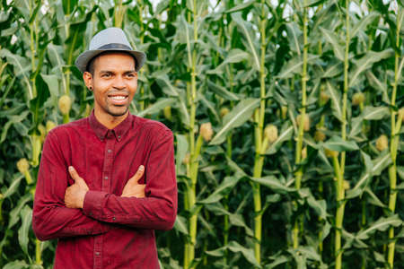 portrait of african america farmer happy with arms crossed with hat on his head and dressed in red shirt, standing in the field with cornの写真素材
