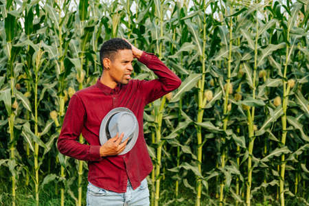 Young handsome african american farmer man wearing hat over corn field background with hand on head for pain in head because stress. Suffering migraine.の写真素材